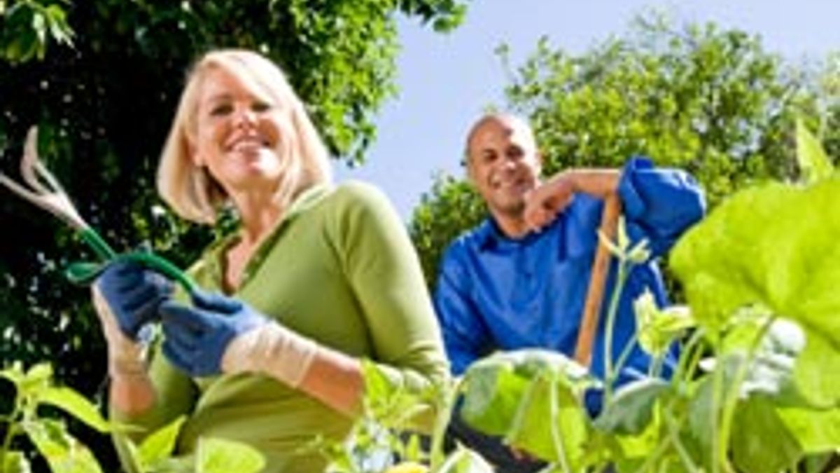 Agricultural Engineering
